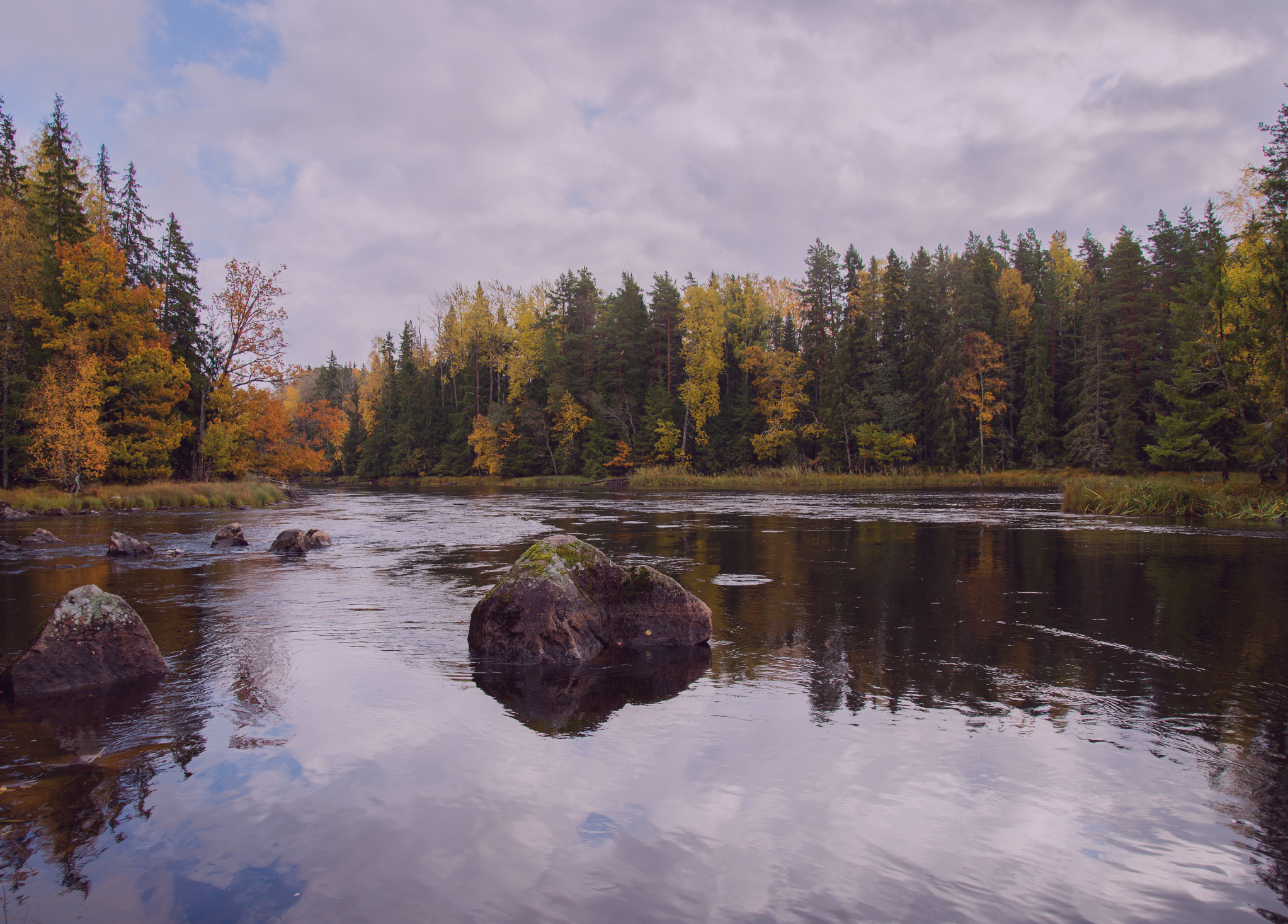 final banner (2045 × 1468 px).png