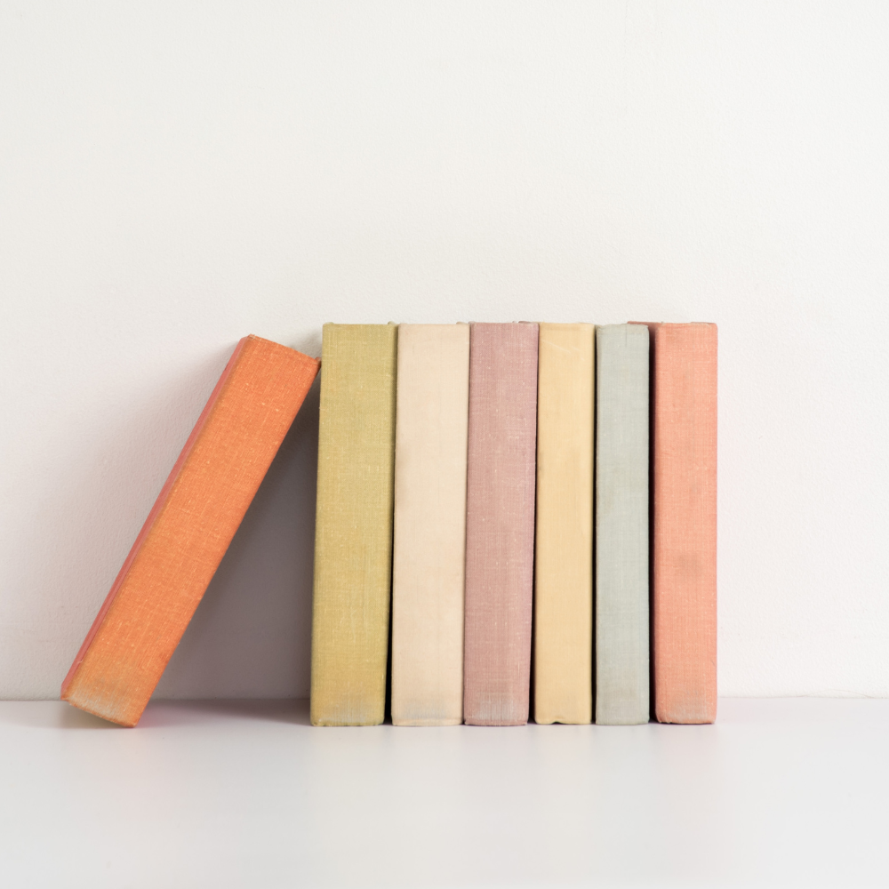 a small collection of books lined up together